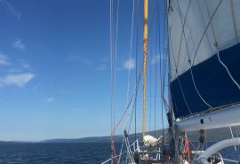 Zuza in the Hebrides