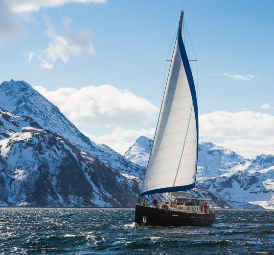 Valiente Glacier sailing