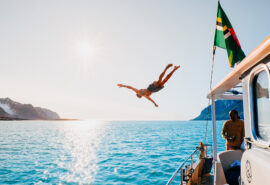 Valiente guest diving in from boat in Svalbard summer
