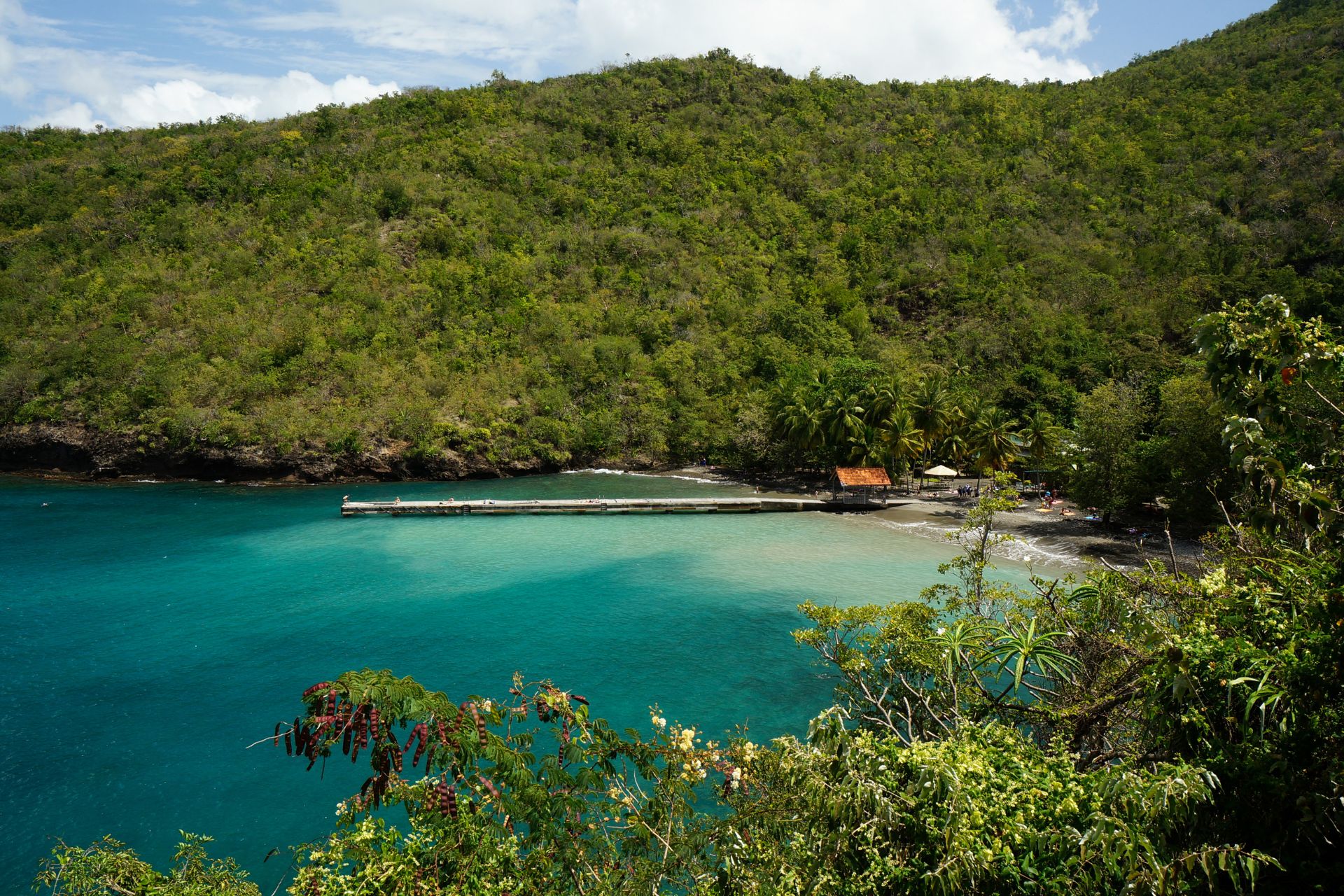 View of Anse Noir, Martinique
