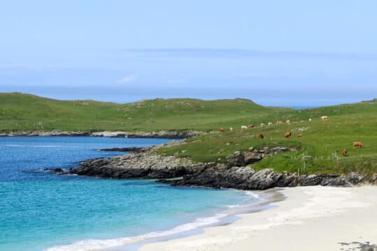 View of Shetland beach on Shetland Isles, outer Hebrides, Scotland