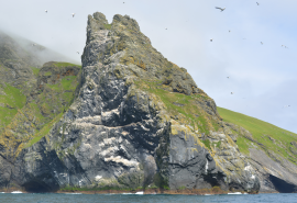 View of St Kilda from Stravaigin