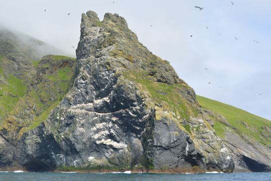 View of St Kilda from Stravaigin