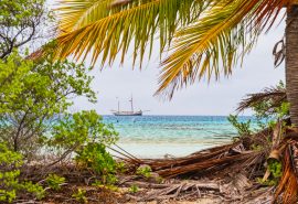 View of Tecla in Pacific Islands