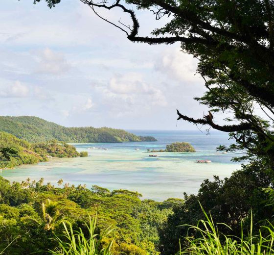View on Le Gambier, French Polynesia Tecla