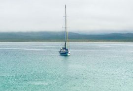ZUZA Nave Scotland