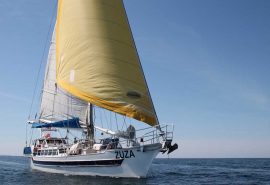 ZUZA full sails