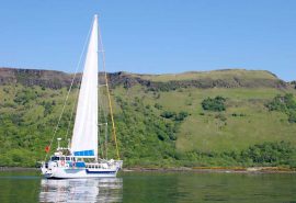 ZUZA scotland