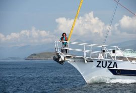 Zuza Guests on bows
