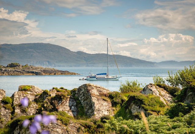 Sailing & Wildlife adventures around Mull, Skye and the Small Isles in the Hebrides,