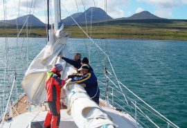 Zuza guests sail