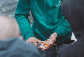 zuza crew scallop
