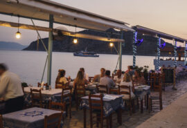 Zorba Cat Greek taverna evening