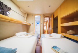 Zorba Cat Master twin ensuite