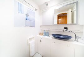 Zorba Cat bathroom