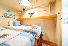 Zorba Cat master twin cabin
