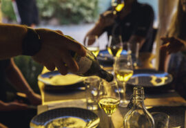 Zorba Cat wine tour dinner