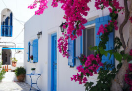 Zorba Greece