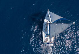Zorba from above