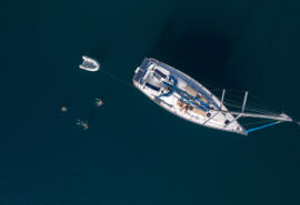 Zorba from above swimming