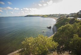 falmouthadamgibbard 20 jpg-82669-low