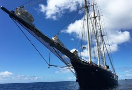 Schooner Blue Clipper